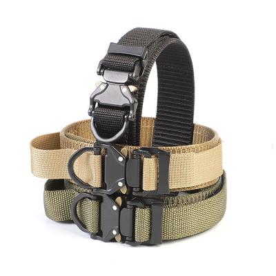 China Durable Quick Release Large Premium Tactical Military Dog Nylon Collars for sale