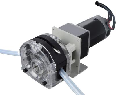 China 60 Motor Series Fixed Speed Oem Peristaltic Pump for sale