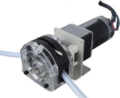 Cina Pompa peristaltica a grande flusso Dc Motor Oem Pompa peristaltica in vendita