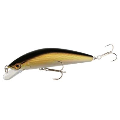 China ABS Plastic Minnow Sea Fishing Lure Floating Wobbler Ratchet Sound Hard Bait Fishing Tackle With Hook Model 105mm 18.5g for sale