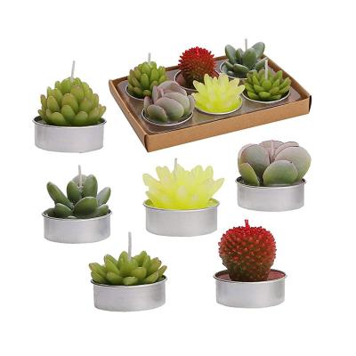 China Birthdays Tealight Cactus Handmade Delicate Succulent Candles for Party Wedding Spa Decoration Home Gifts, Cactus Tea Light Candles for sale