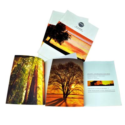 China paper & Wholesale Custom Paperboard China Brochure Magazine Catalog, Brochure Printing, Leaflet Printing for sale