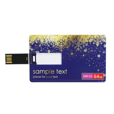 China Custom Office Plastic Promotional School Gift USB Business Credit Card 2GB 4GB 8GB 16GB 32GB 64GB Pandrive for sale