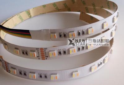 China RGB and CCT Adjustable five in one LED 5 in 1 all color with dual white DC12V DC24V RGBCCT LED Strip Light for sale