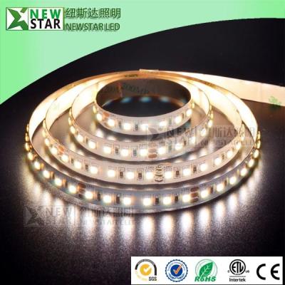 China CCT 3528 2 chips in one 12v 24v led CCT adjustable flexible strip 3000k to 6000k dimmable dual white led strip lights for sale