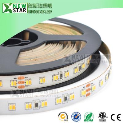 China CCT 3014 WW W 12v 24v led dual white 3014 flexible strip 3000K to 6000K dimmable 3014SMD CCT adjustable led strip lights for sale