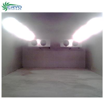 China Superior Insulation Hybrid Onion Seeds Prefabricated Storage Rooms Cold Meat Room In USA Cold Room Condenser for sale