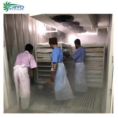 China Hotels Seafood And Meat Mobile Container Air Blast Freezer , Containerized Blast Freezer for sale