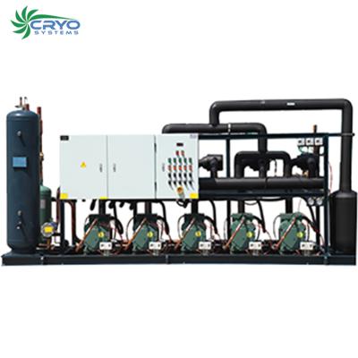 China Good Capacity Cooling Multi-Compressor Racks Multiple Compressor Rack System Parallel Rack Compressor Systems for sale