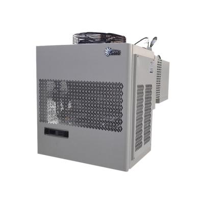 China Hotels drop in freezer unit cold room refrigeration unit Canton freezer monoblock condensing unit for sale