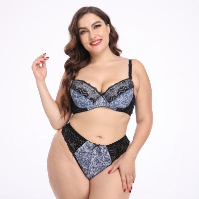 China INTIFLOWER 2041 D cup size two piece female lingerie set QUICK DRY sexy women's plus size bra and panty sets for sale