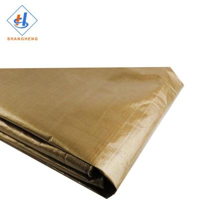 China Double Faced Rain Resistant Tarpaulin Supplier Tarpaulin 2X2 for sale