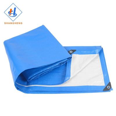 China Double faced waterproof pe scaffolding tarpaulin Linyi gauze pe tarpaulin for sale