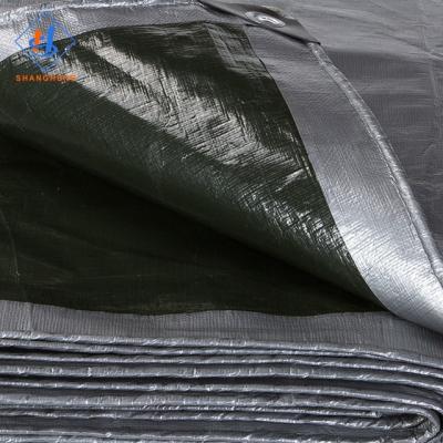 China Double Faced Pe Tarps Greenhouse Tarpaulin Prices Tarpaulin Manufacturing En Europa for sale