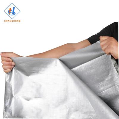 China Double sided sliding pe tarpaulin tarpaulins pe tarpaulin green / uv silver 400 tarpaulin for trucks for sale