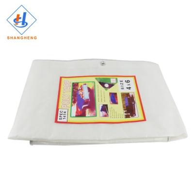 China Double Faced Korea Pe Plastic Transparent Sheet Amazon Tarpaulin Product Tarpaulins for sale