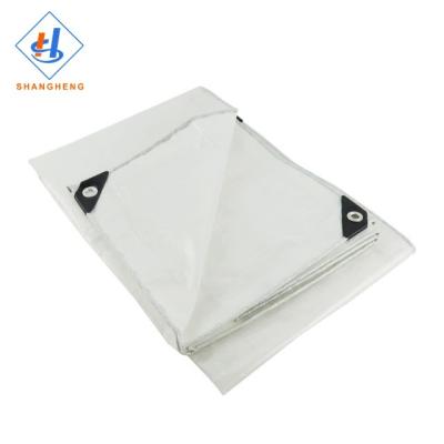 China Double faced transparent tarpaulin roller blinds with eyelets pe tarpaulin sheet for sale