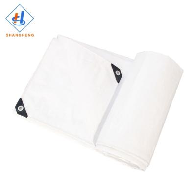 China Double Faced Transparent Tarpaulin In Germany PE Tarpaulin Roll for sale