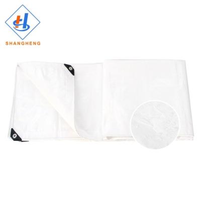 China Double Faced Tarpaulin Transparent In Egypt Tarpaulin Manufacture for sale