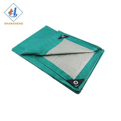 China Double Faced Green And Silver Poland Garden Roof Reinforced Truck Cover Tarpaulin for sale