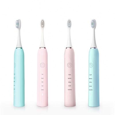 China Top OEM Battery Powered Hot Products 20 Teeth Whitening LED Blue Light Sonic Electronic Toothbrush for sale