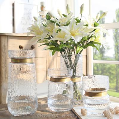 China Eco-Friendly Transparent Glass Vase Lay In The Living Room Small And Fresh Water Vase Modern Style for sale