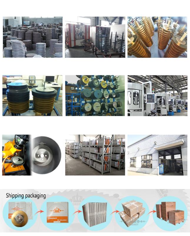 Verified China supplier - Zhangjiagang Wilma Precision Tools Co., Ltd.