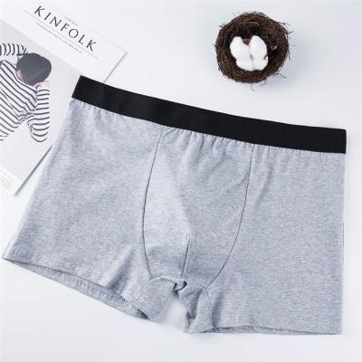 China Overseas popular clothing underwear cotton male boxer antibacterial for men's home panties plus size for sale