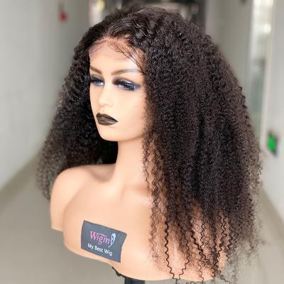 China New Style Afro Kinky Curly Human Hair Wigs Soft Afro Curly Top Afro Kinky Twist Hair Wigs For Black Women for sale