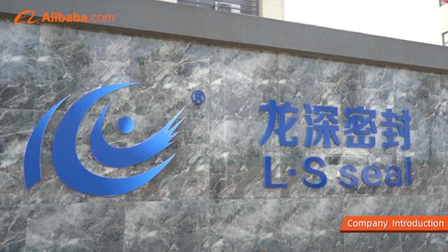 Verified China supplier - Longshen Seal Manufacture (Wuhan) Co., Ltd.