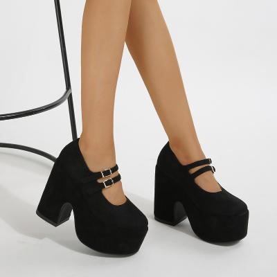 China Summer Chunky Unique Mary Jane Shoes High Heels Pumps Mary Janes Buckle Round Toe Platform Women's Shoes For Women for sale