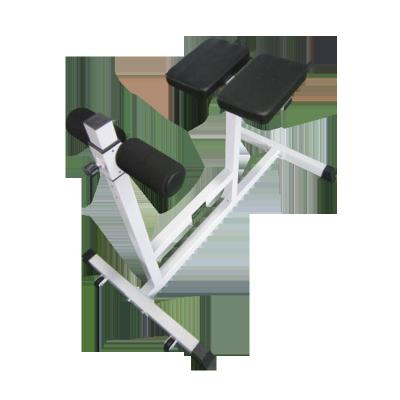 China Commercial Roman Gym Equipment Adjustable Chair Fitness Bench for sale