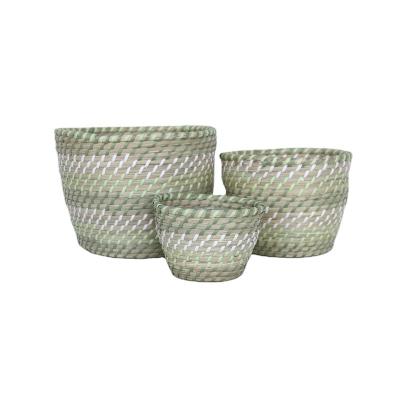 China Sustainable Handmade Eco-Friendly S/3 Natural Woven With Rim Round Couch Grass Storage Green And White Basket for sale