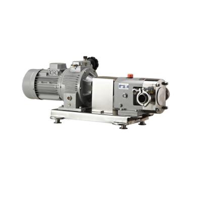 China Various Automotive Industry Factory Manufacture OEM Lobe Rotor Positive Displacement Pump for sale