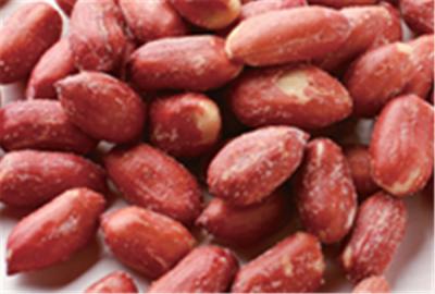 중국 맥주 Nuts 큰 빨간 사탕 입히는 땅콩 알갱이 각종 맛 HALAL Certifiaction 판매용