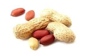 China Peanuts Organic Sprouted Nuts Crispy Flavor Safe Raw Material Free From Frying for sale