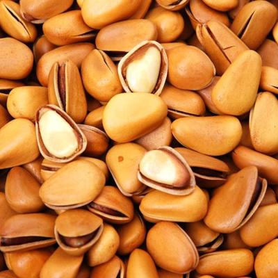 Chine NON - goût croustillant Nuts poussé cru de GMO, pignons crus avec la certification de BRC à vendre