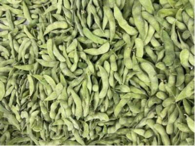 China HALAL Verklaarde Hoogte - proteïne Bevroren Edamame Beans Te koop