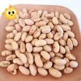 China Natuurlijke gezonde OEM roosterde Gezouten Soja Bean Snacks Handpicked Vegan Beans Te koop