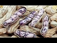 Colorful peanuts are more nutritious