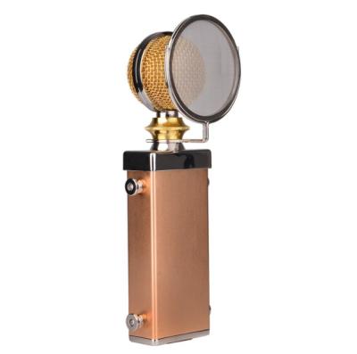 China Handheld Microphone Case Studio DIY Microphone Body Case Part Mm Length 538 for sale