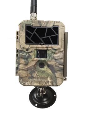 China Wild Game Hunting Tree Camera , Infrared Motion Sensor Camera Outdoor Wildlife  for sale