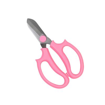 China Embroidery Stainless Steel Flower Scissors Wide Head Flower Arranging Scissors Household Flower ScissorsNordic Style In Multiple Colors for sale