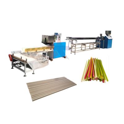 China Production of Straw Automatic Biodegradable Natural Sugar Drinking Cane Pasta Wheat Drinking Straw Making Machine for sale