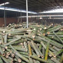 Verified China supplier - Shaowu Youze Bamboo Industry Co., Ltd.