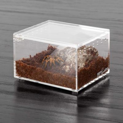 China Windproof Acrylic Pet Feeding Breeding Mini Greenhouse Wholesale Clear Plastic Acrylic Box for sale