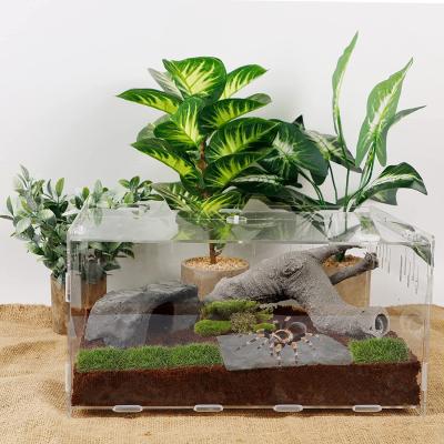 China Durable Custom Reptile Feeding Breeding Snake Reptile Mini Greenhouse Acrylic Tank Cage for sale