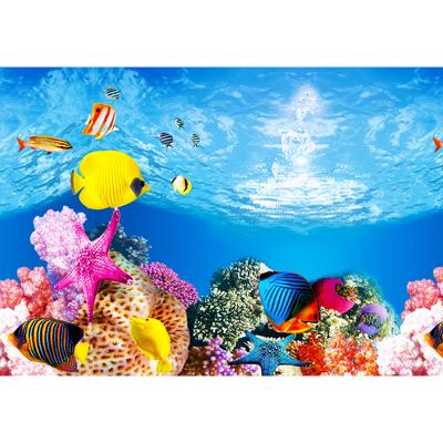 China Aquarium Wall 30cm Thick Painting Stocked Decorative Waterproof Fish Tank Primer Double Sides for sale