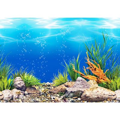 China 40cm Stocked Aquarium Wallpaper Double Sides Aquarium Background Waterproof Painting for sale