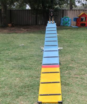 China Viable Dog Agility Training Walk Steel Dog Obstacles for sale